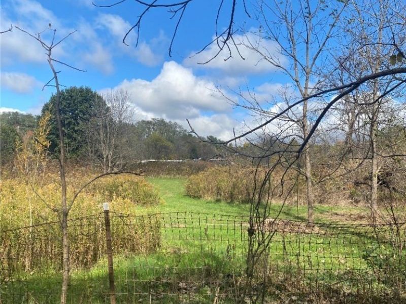 13340, 0 Township Rd 59 and County Rd 54 , Mount Perry, OH 43760 Photo 4