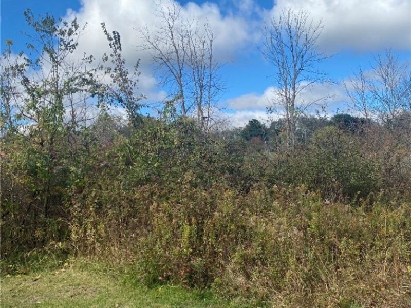 13340, 0 Township Rd 59 and County Rd 54 , Mount Perry, OH 43760 Photo 5