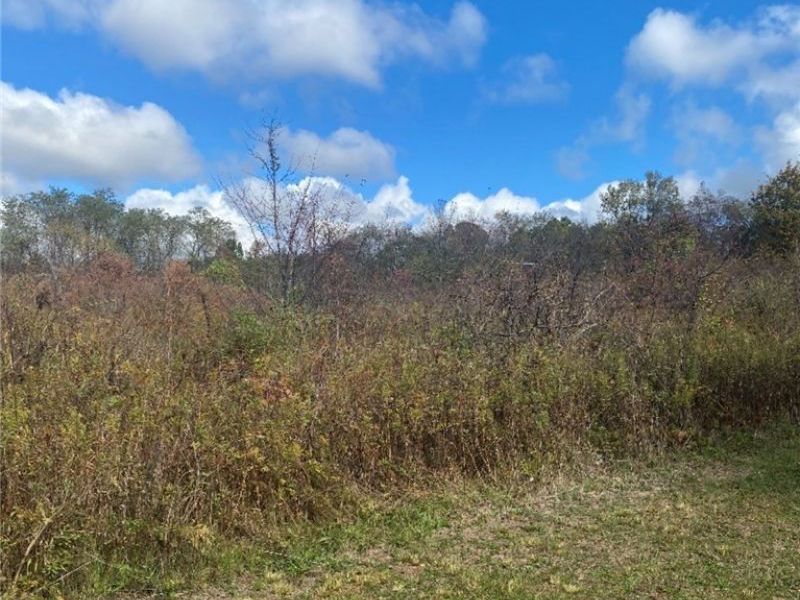 13340, 0 Township Rd 59 and County Rd 54 , Mount Perry, OH 43760 Photo 6