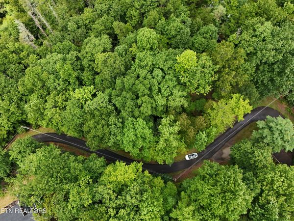 920 Black Gum Gap Rd, Gatlinburg, TN 37738