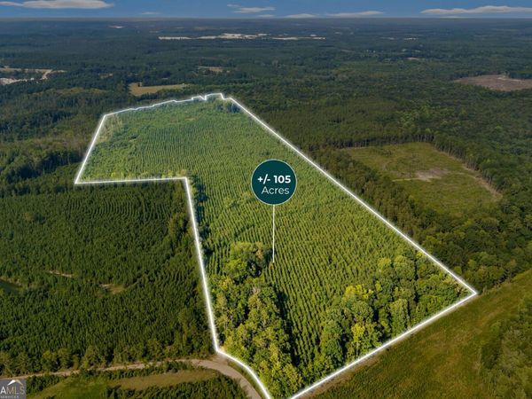 MERCER TRACT New Hopewell Church Road, Jeffersonville, GA 31044