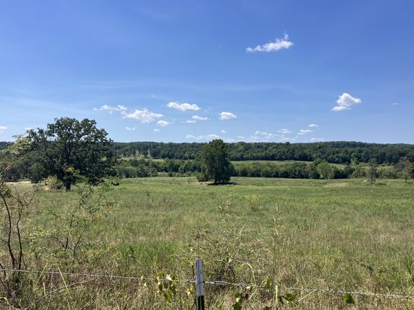 000 County Road 7040 , Pottersville, MO 65790