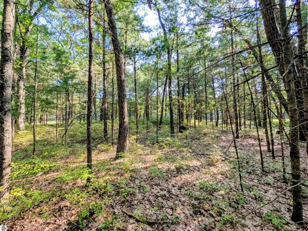 Huron Breeze Drive, Au Gres, MI 48703
