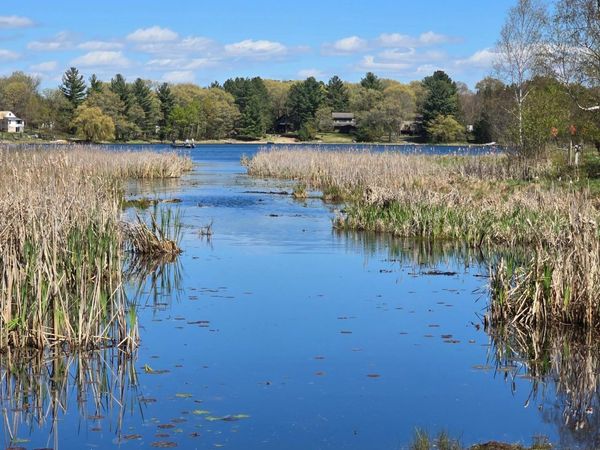 TBD NE West Fawn Lake Road , Stacy, MN 55079