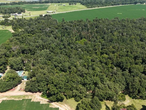 00 Conner Road , Grand Ridge, FL 32442