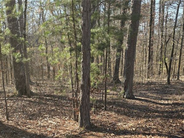 76 Elcano Drive , Hot Springs Village, AR 71909