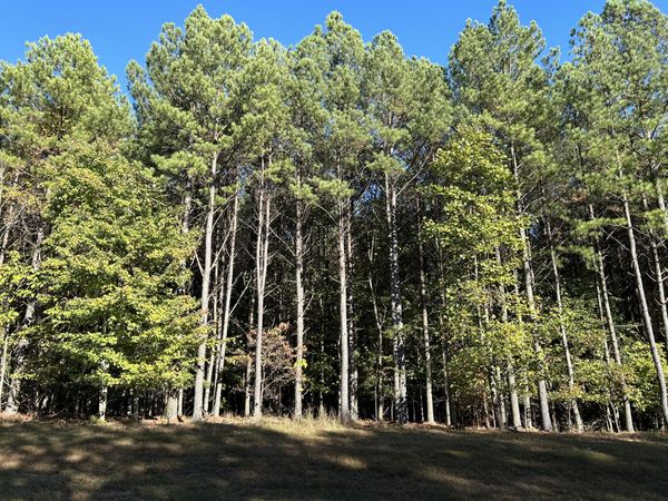 2035 Crockett Pointe , Jasper, TN 37347
