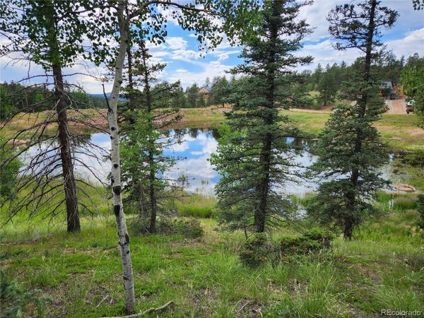 1076 Spring Valley Lane , Florissant, CO 80816