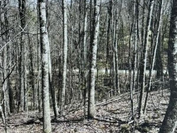 11a 11b Hidden Lakes Road , Topton, NC 28781