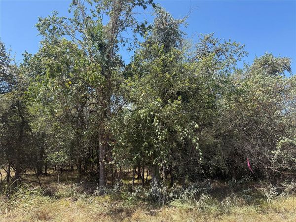 TBD Kawainui LN, Bastrop, TX 78602