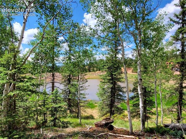 1076 Spring Valley Lane, Florissant, CO 80816