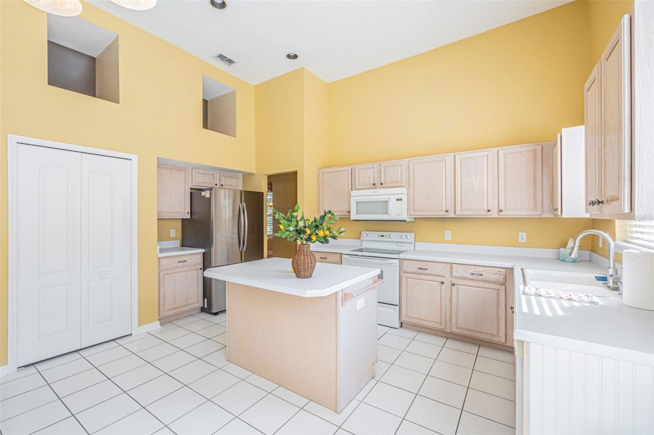 7004 Pine Hollow Drive, Mount Dora, FL 32757 Photo