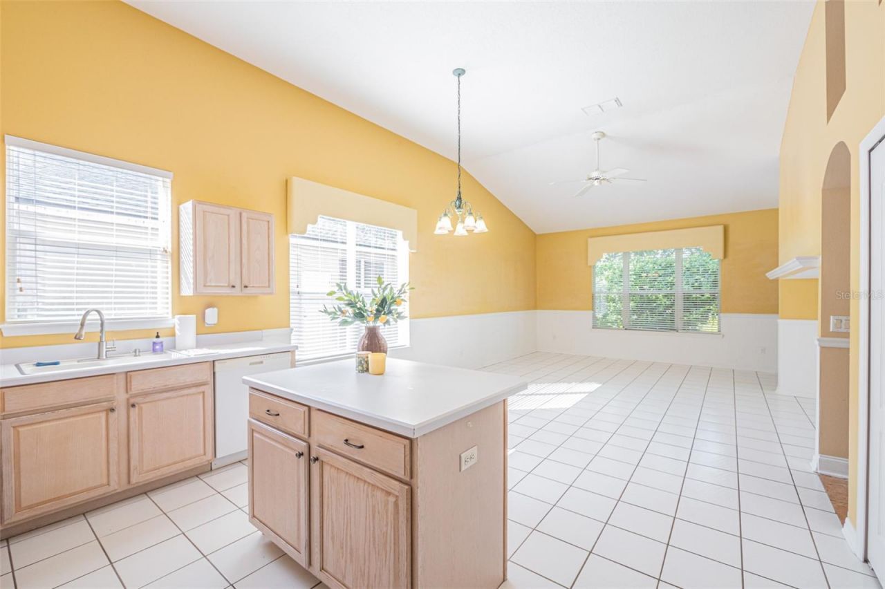 7004 Pine Hollow Drive, Mount Dora, FL 32757 Photo
