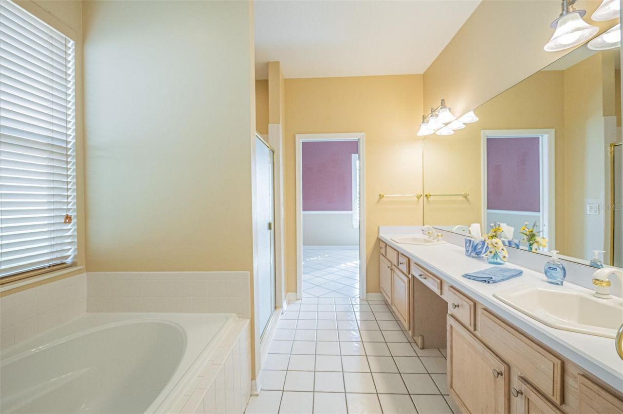 7004 Pine Hollow Drive, Mount Dora, FL 32757 Photo