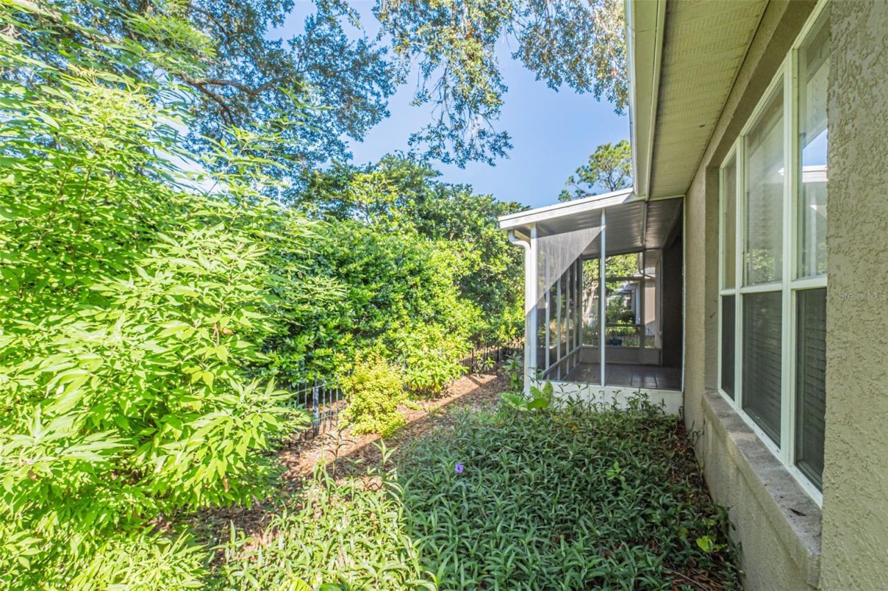 7004 Pine Hollow Drive, Mount Dora, FL 32757 Photo
