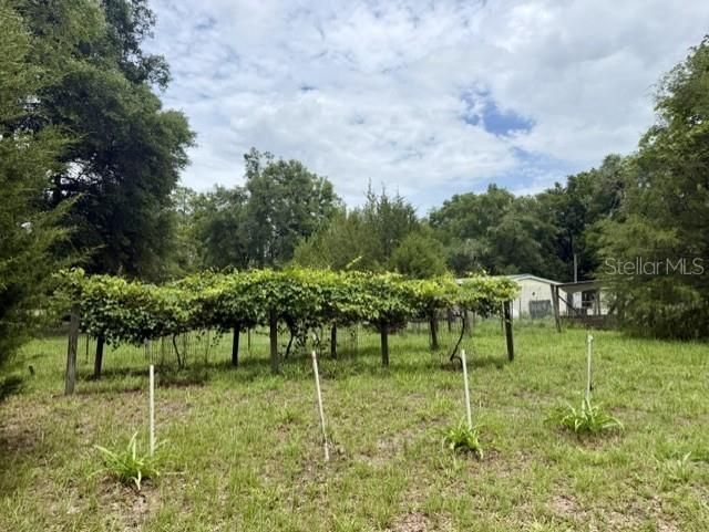 4760-a NW 55th Avenue , Bell, FL 32619 Photo