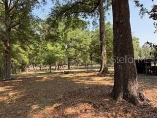 4760-a NW 55th Avenue , Bell, FL 32619 Photo