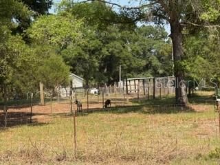4760-a NW 55th Avenue , Bell, FL 32619 Photo