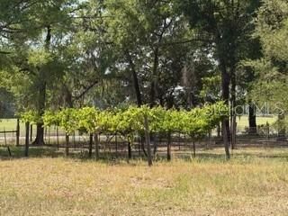 4760-a NW 55th Avenue , Bell, FL 32619 Photo