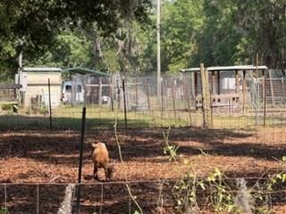 4760-a NW 55th Avenue , Bell, FL 32619 Photo