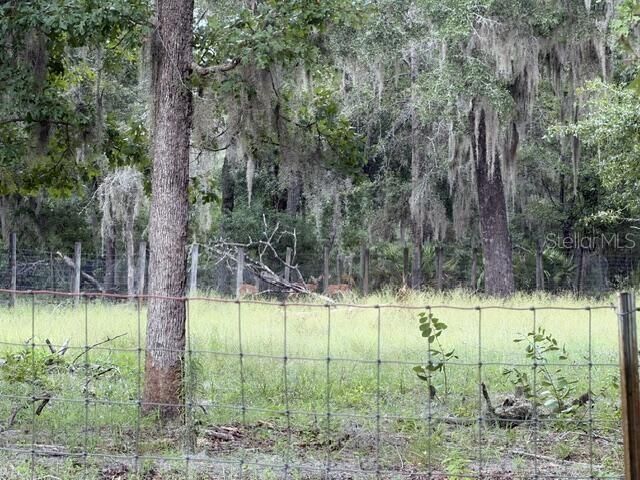 4760-a NW 55th Avenue , Bell, FL 32619 Photo