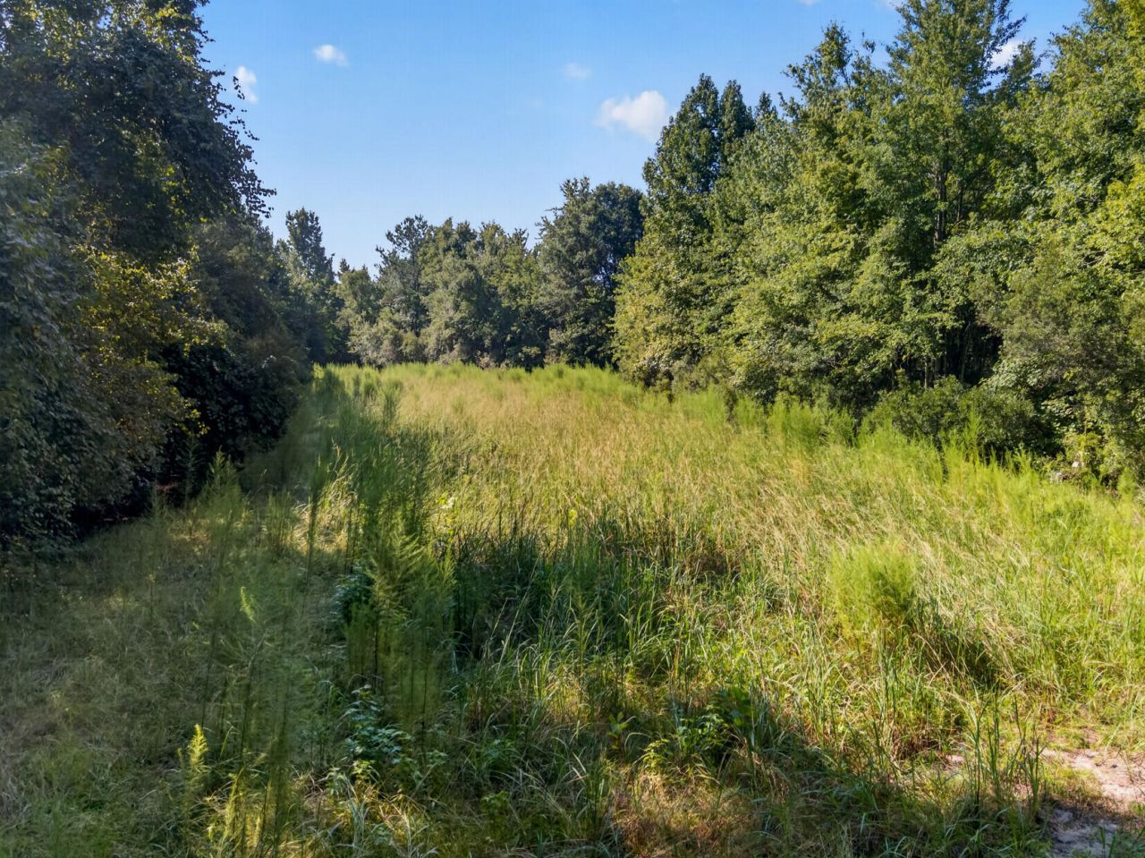 1218 Misty Ridge Lane Photo 1