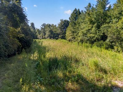 1218 Misty Ridge Lane, Walterboro, SC 29488