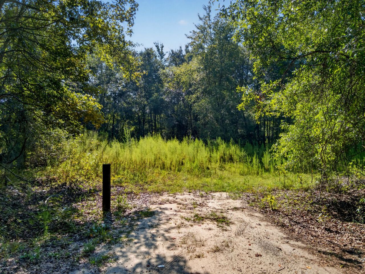 1218 Misty Ridge Lane Photo 2