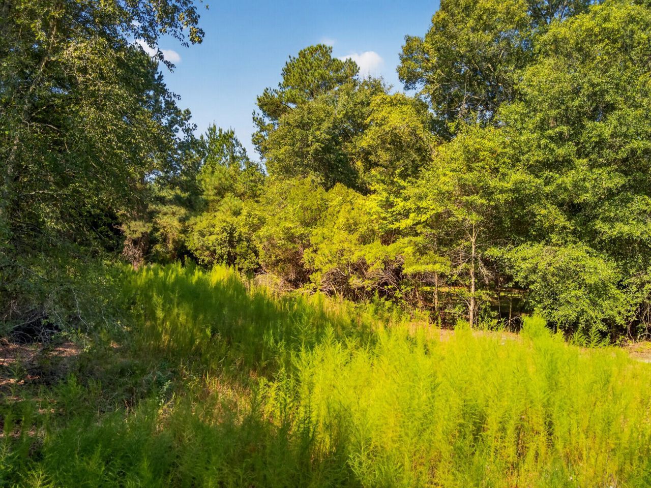 1218 Misty Ridge Lane Photo 3