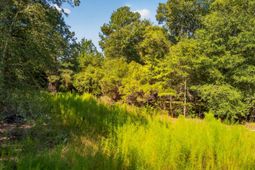 1218 Misty Ridge Lane photo 4