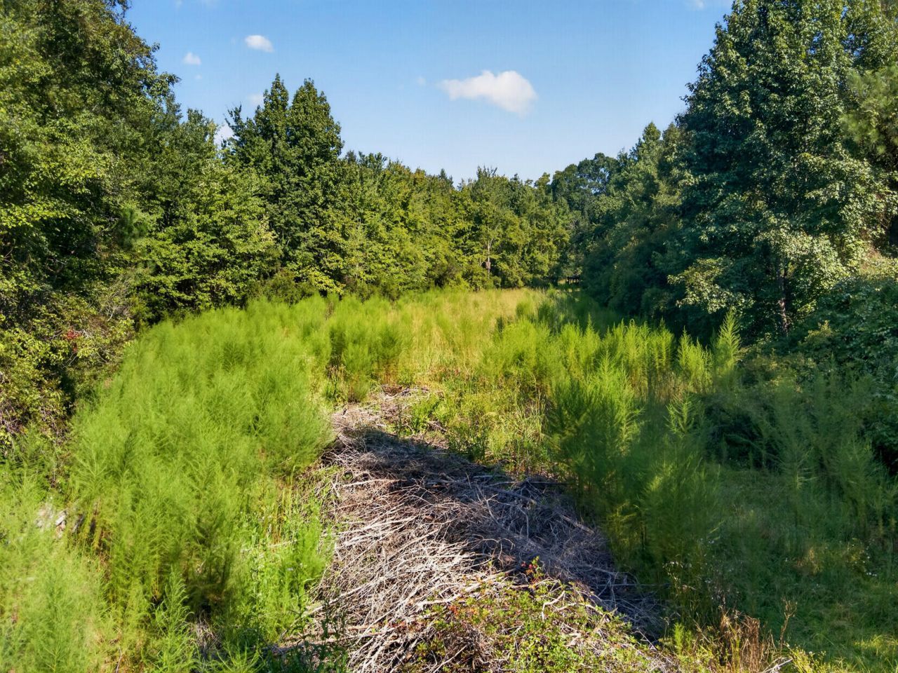1218 Misty Ridge Lane Photo 4