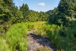 1218 Misty Ridge Lane photo 4