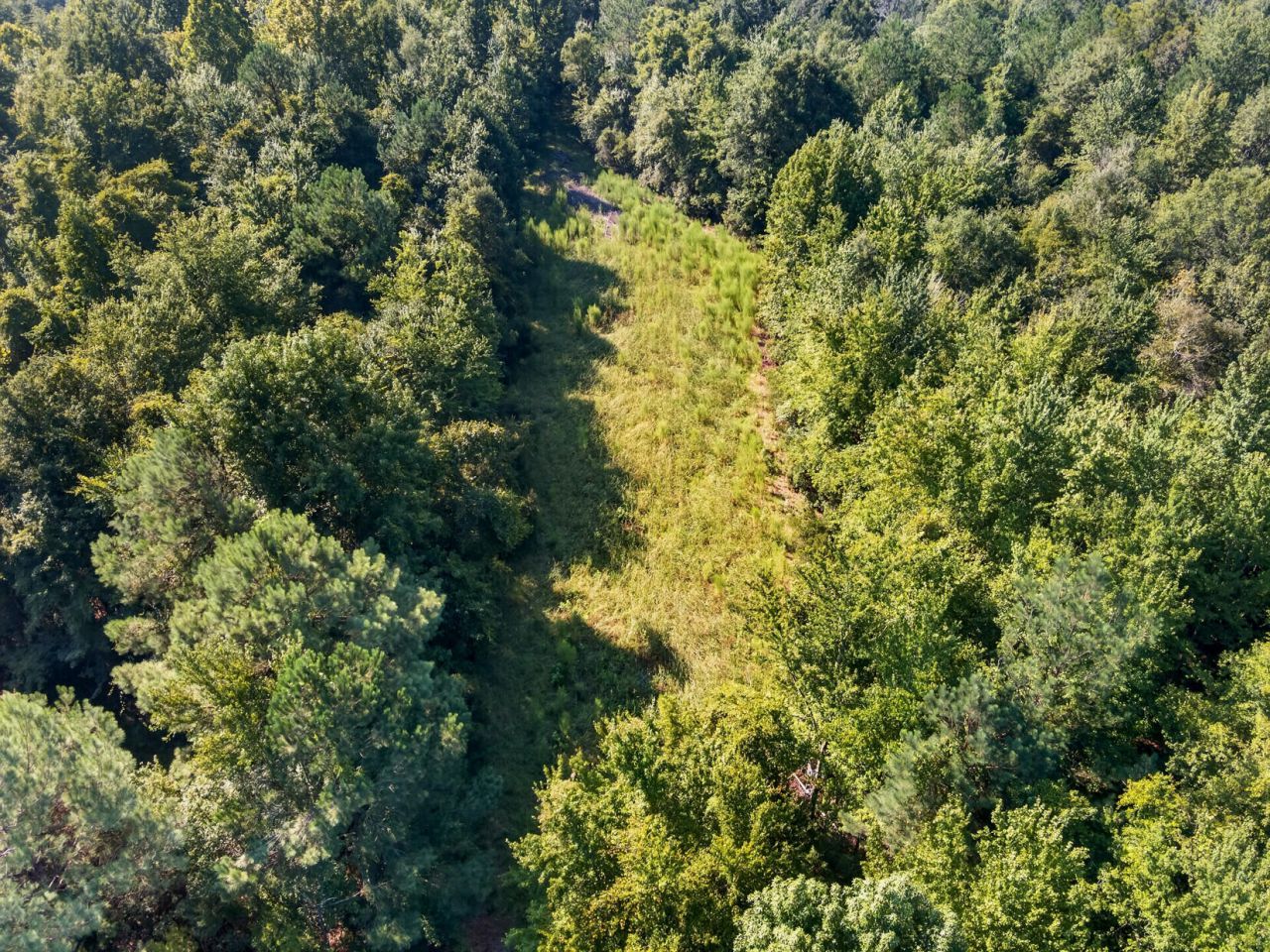 1218 Misty Ridge Lane Photo 5