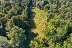 1218 Misty Ridge Lane photo 4