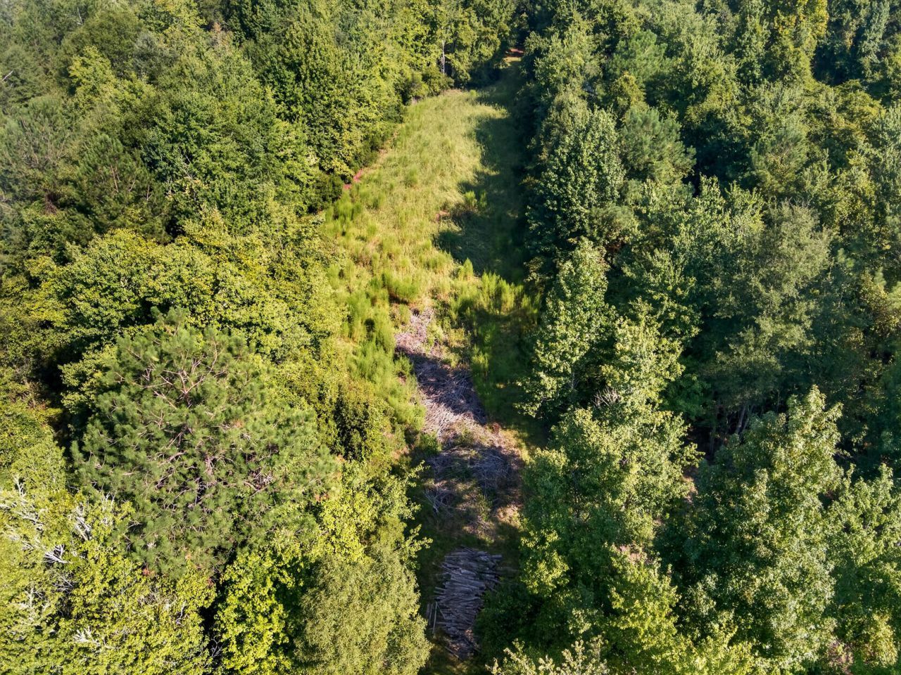 1218 Misty Ridge Lane Photo 6