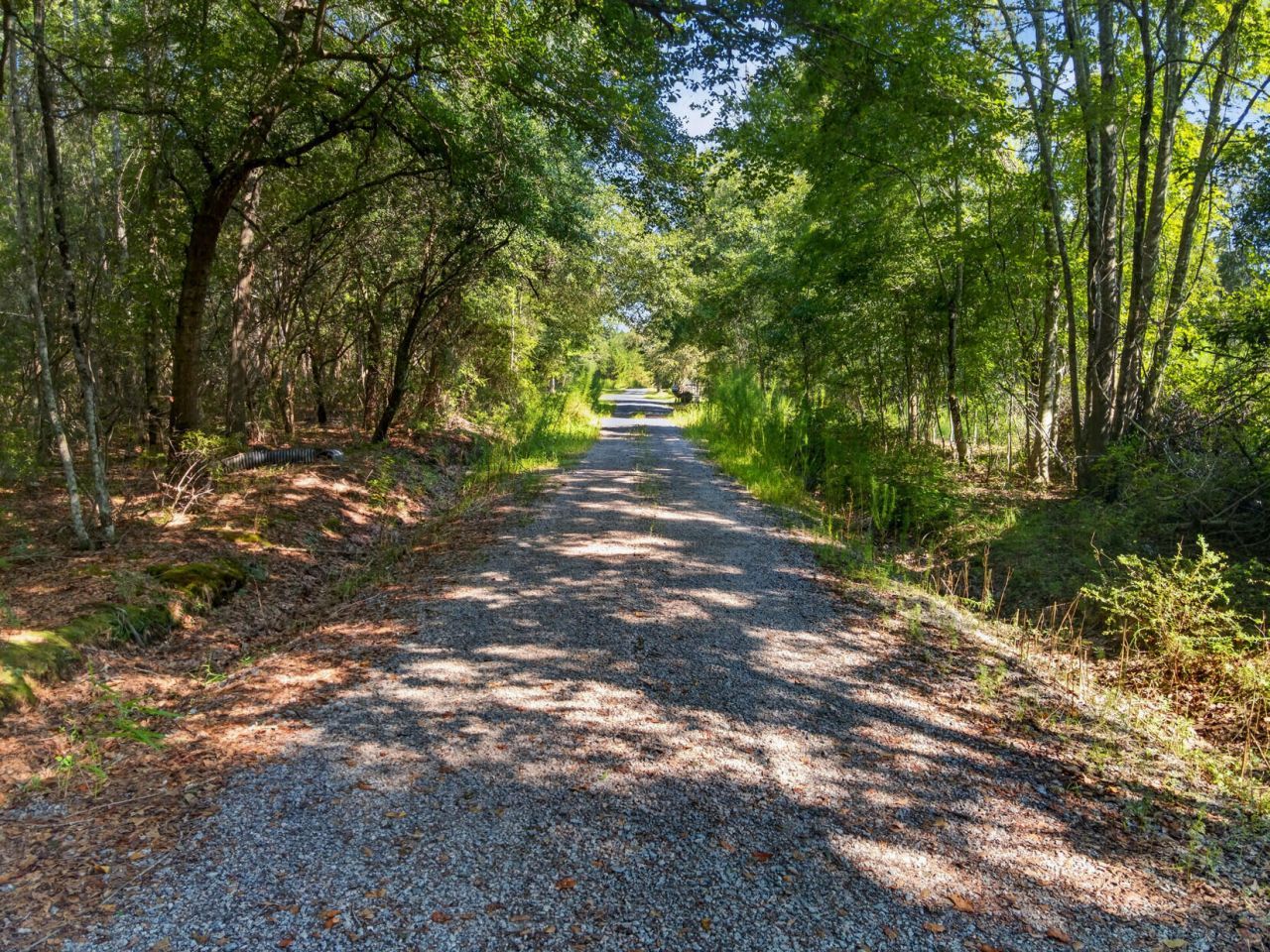 1218 Misty Ridge Lane Photo 7