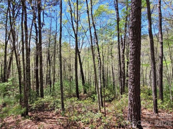 Lot 21 Little Fox Run , Marion, NC 28752