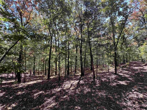 000 Cee Jay Ln, Sulphur Rock, AR 72579