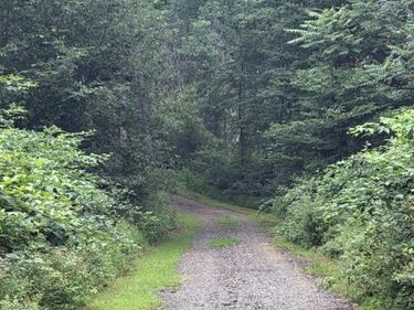 0 MT PARAN CHURCH RD, ELKTON, VA 22827
