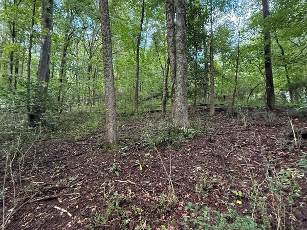 0 Carol Street, Buckhannon, WV 26201