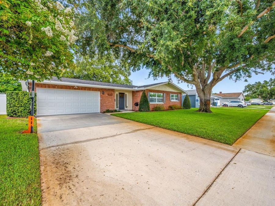 Property Image 81