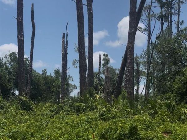 TEPEE AVENUE, NORTH PORT, FL 34291
