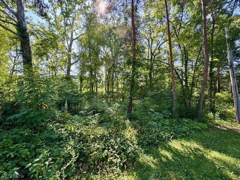 V/L Edgerton Road , North Royalton, OH 44133 Photo 12