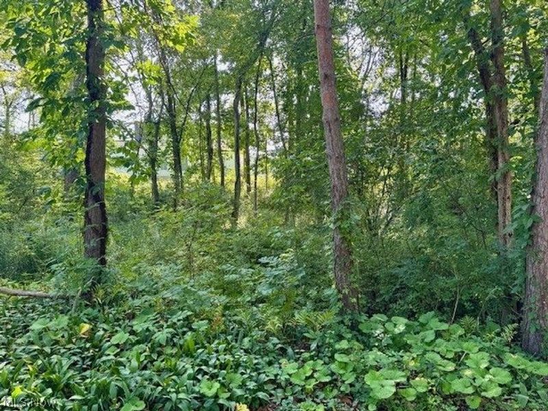 V/L Edgerton Road , North Royalton, OH 44133 Photo 13