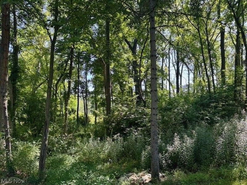 V/L Edgerton Road , North Royalton, OH 44133 Photo 14