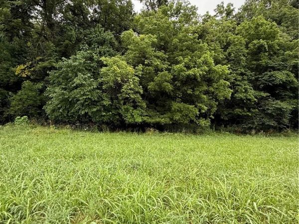 1724 madison 5310, Witter, AR 72776