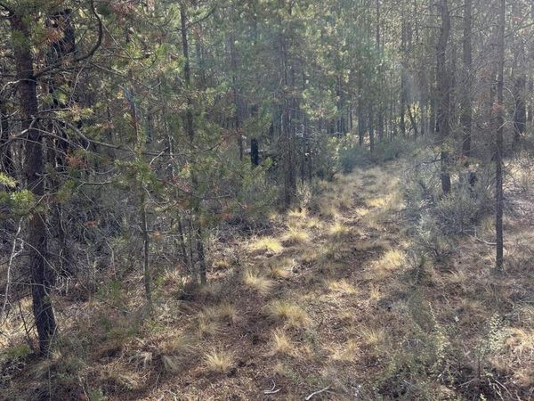 15885 Leslie Drive, La Pine, OR 97739
