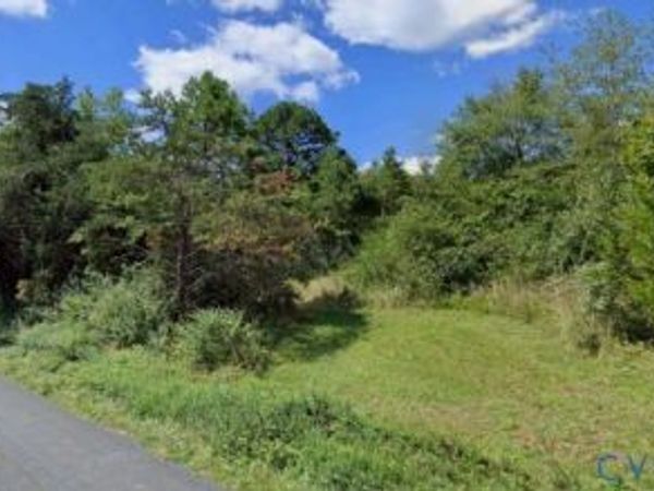 Lot 1 Cabell Road , Wingina, VA 24599