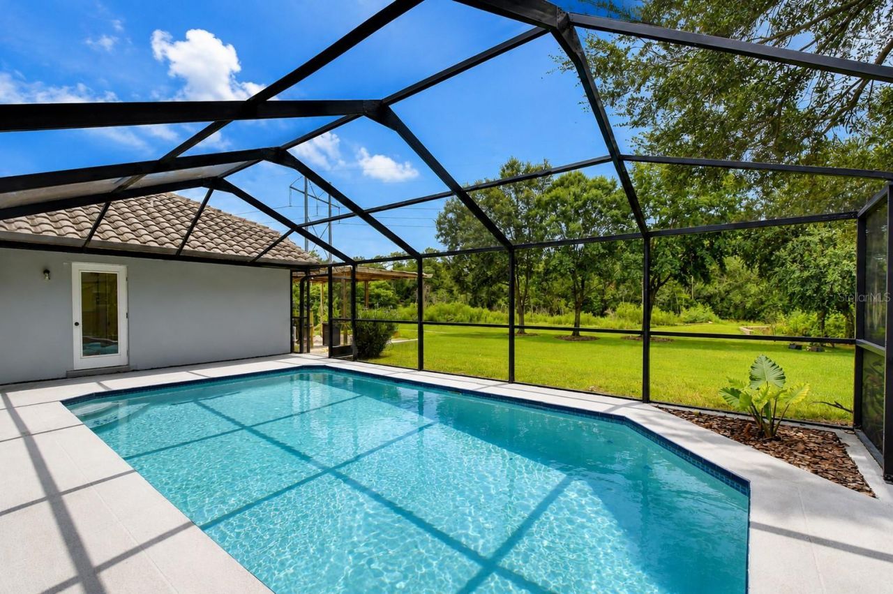 6608 Thoroughbred Loop , Odessa, FL 33556 Photo