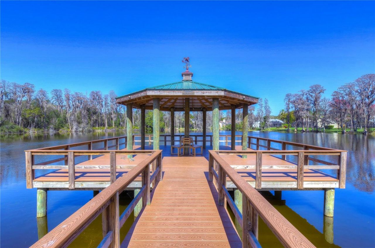 6608 Thoroughbred Loop , Odessa, FL 33556 Photo